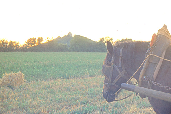 Mont Sabot et cheval